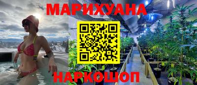 спиды Аргун