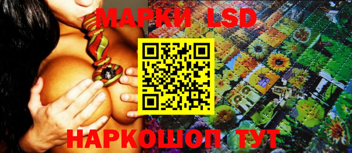Наркотические марки 1500мкг Борзя