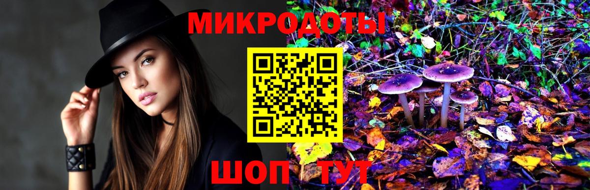 Борзя  Галлюциногенные грибы Cubensis  Вход с VPN 